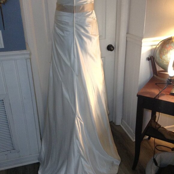 David's Bridal "8" Strapless Wedding Gown; Satin, Traditional Chic, Quiet Luxury - Picture 3 of 6